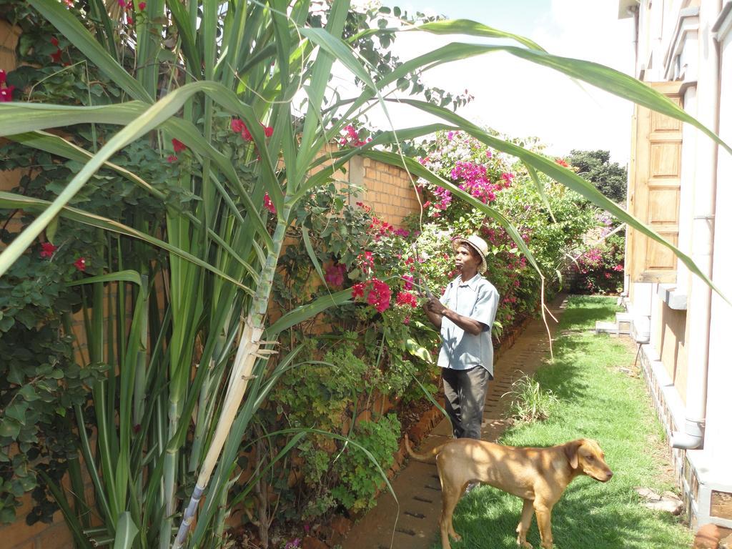 Meva Guesthouse Antananarivo Exterior photo